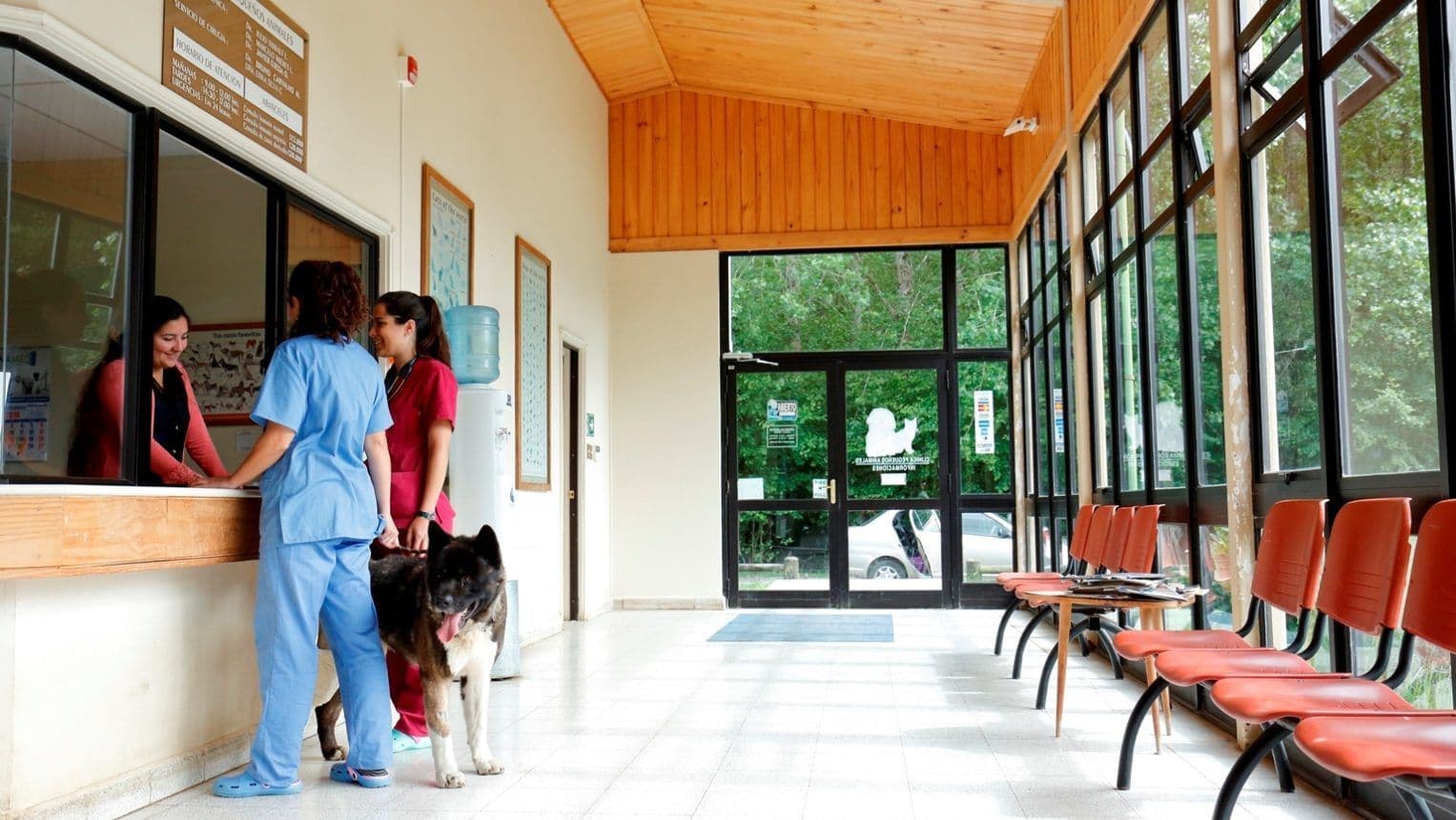 Hospital Veterinario UACh 2