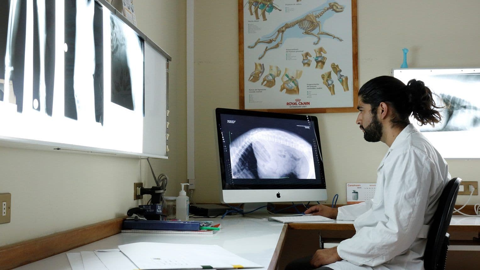 Hospital Veterinario UACh 6